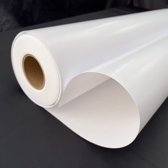 260g Premium Glossy/Satin/Pearl/Silky/Matte Photo Paper RC Color Photographic Paper Digital Printing Photo Paper Roll for Inkjet