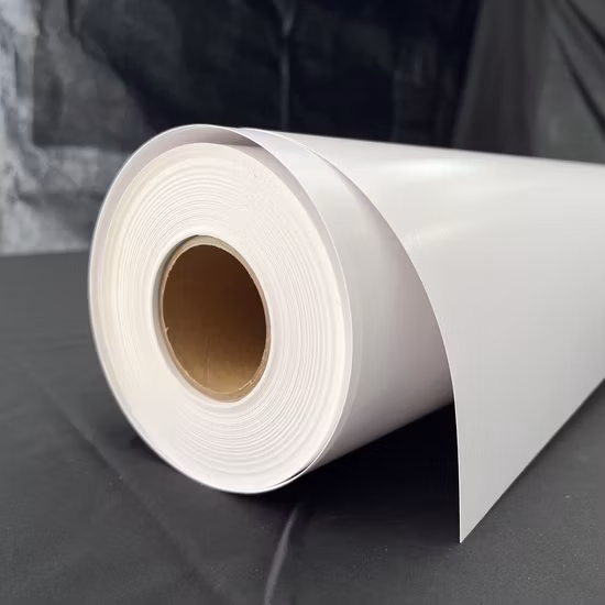 260g Premium Glossy/Satin/Pearl/Silky/Matte Photo Paper RC Color Photographic Paper Digital Printing Photo Paper Roll for Inkjet